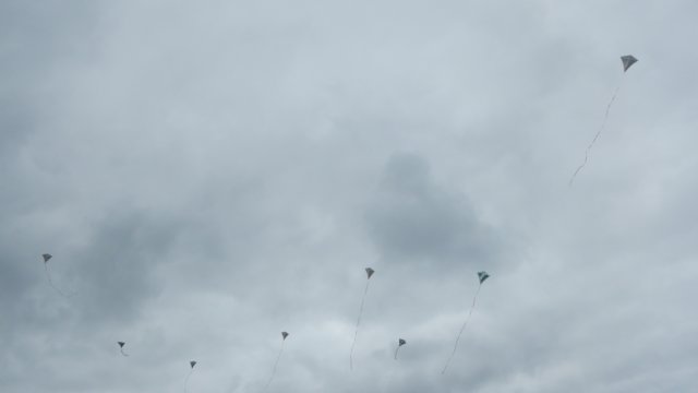 HWK Texel 2015 019.jpg